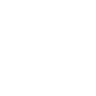 Dry bottom ash handling in a coal-fired power plant